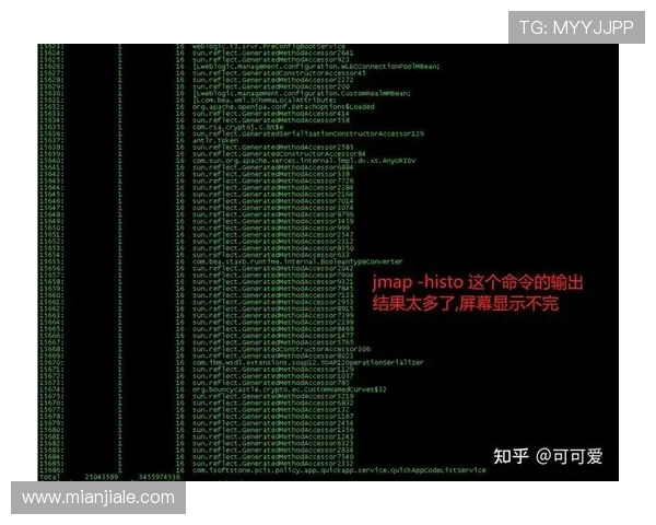 遇到问鼎网页板链接打不开怎么办？详细排查步骤与解决方案